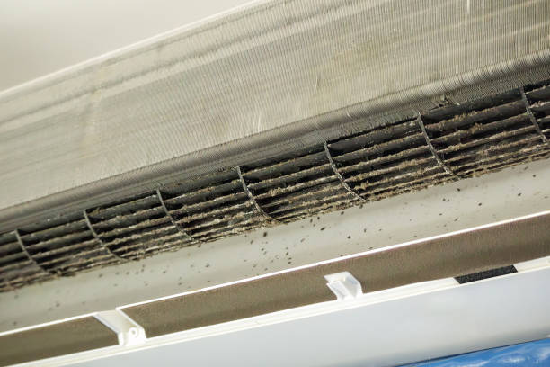 Best Home Air Vent Cleaning  in Shattuck, OK