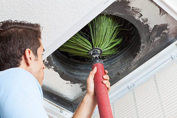 Best Professional Duct Cleaning Services  in Shattuck, OK